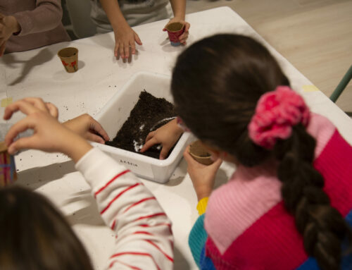 La cultura que cabe en todos los cuerpos: cómo diseñar espacio para que nadie se quede fuera