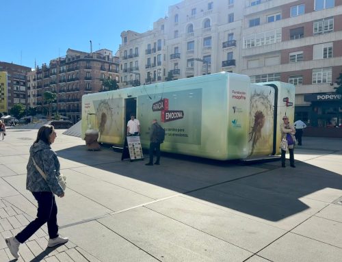 Parada Emocional: una experiencia itinerante para aprender a cuidar nuestra salud mental
